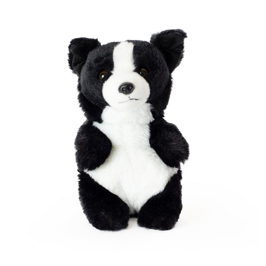 AN754 Border Collie Baby 17cm