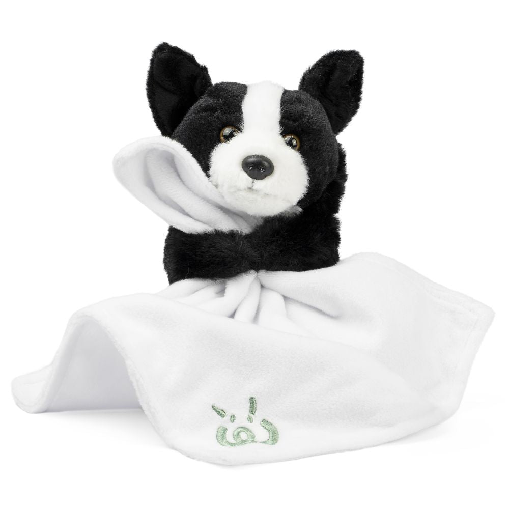 AN767 Baby Border Collie with Blanket 17cm