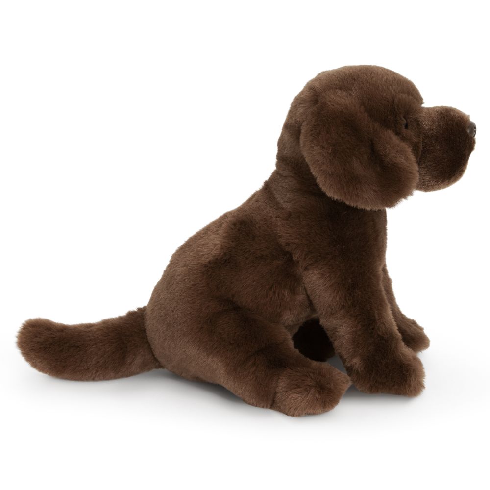 AN458-SS Super Soft Chocolate Labrador 20cm