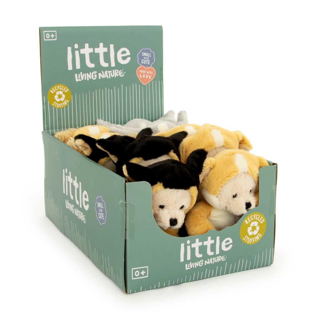 AN09DG LITTLE Dress Up Bear - Dogs 20cm