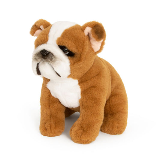 AN823-SS Super Soft English Bulldog 20cm