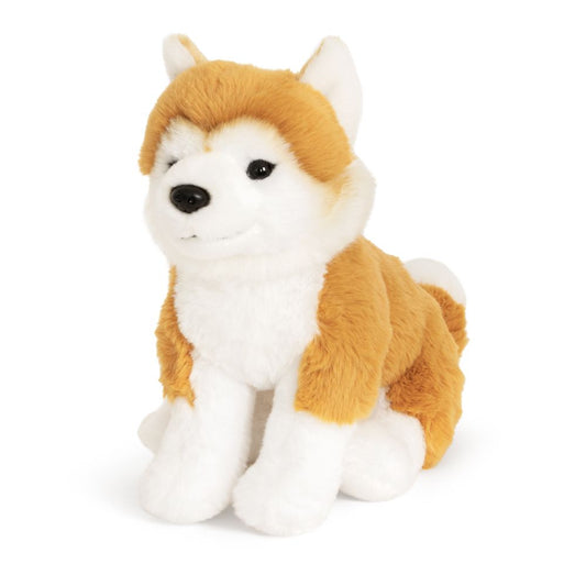 AN821-SS Super Soft Shiba Inu 20cm