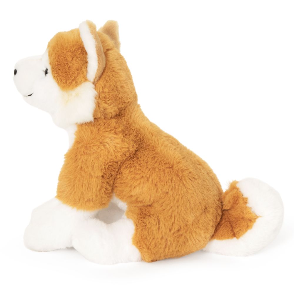 AN821-SS Super Soft Shiba Inu