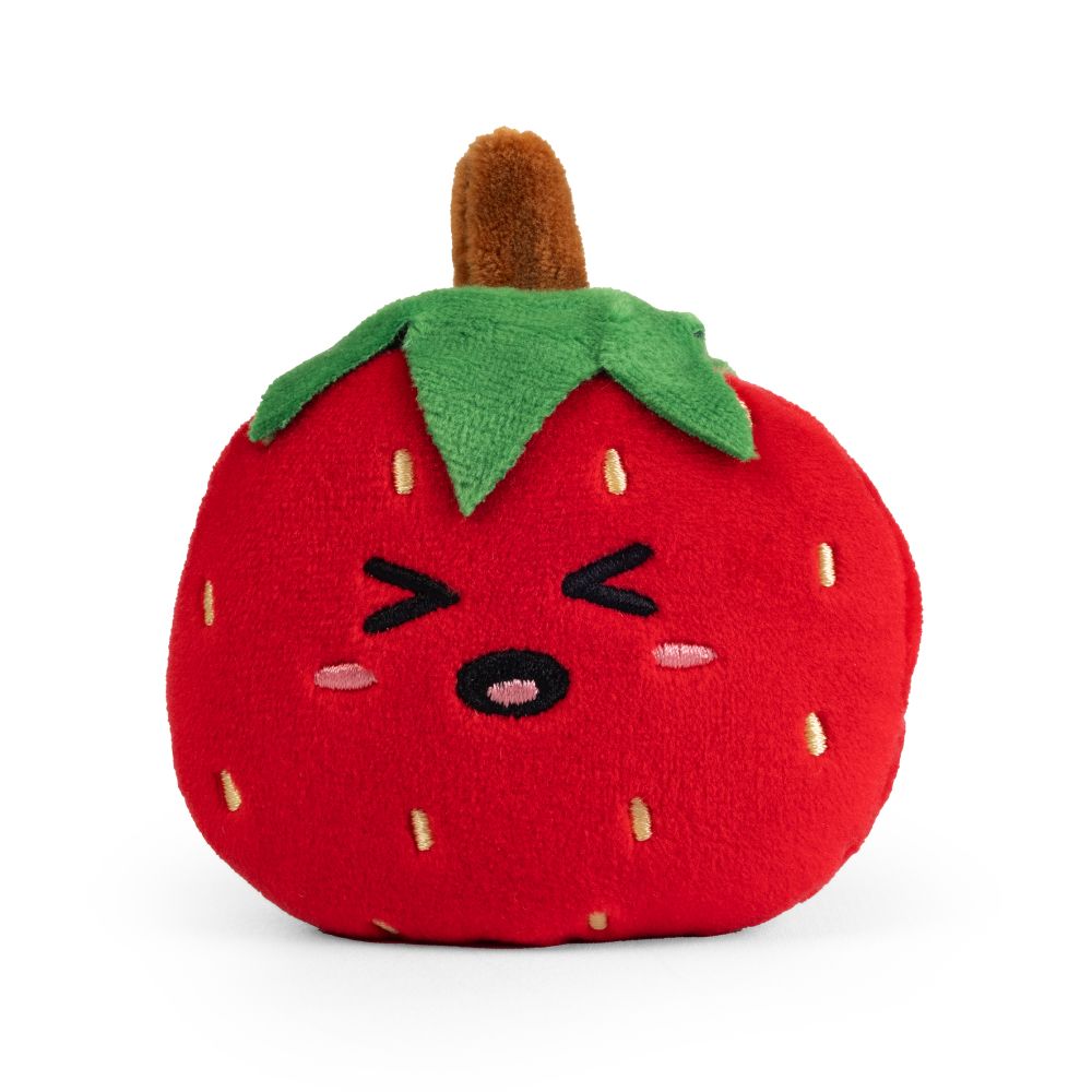 FP11FT Fruit Sand Plushies