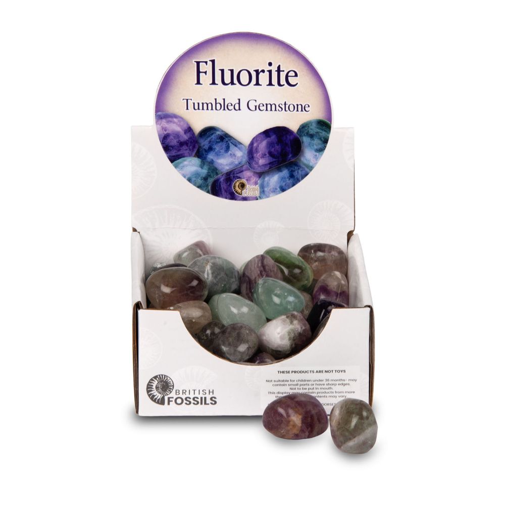 RM01FL Polished Gems Flourite