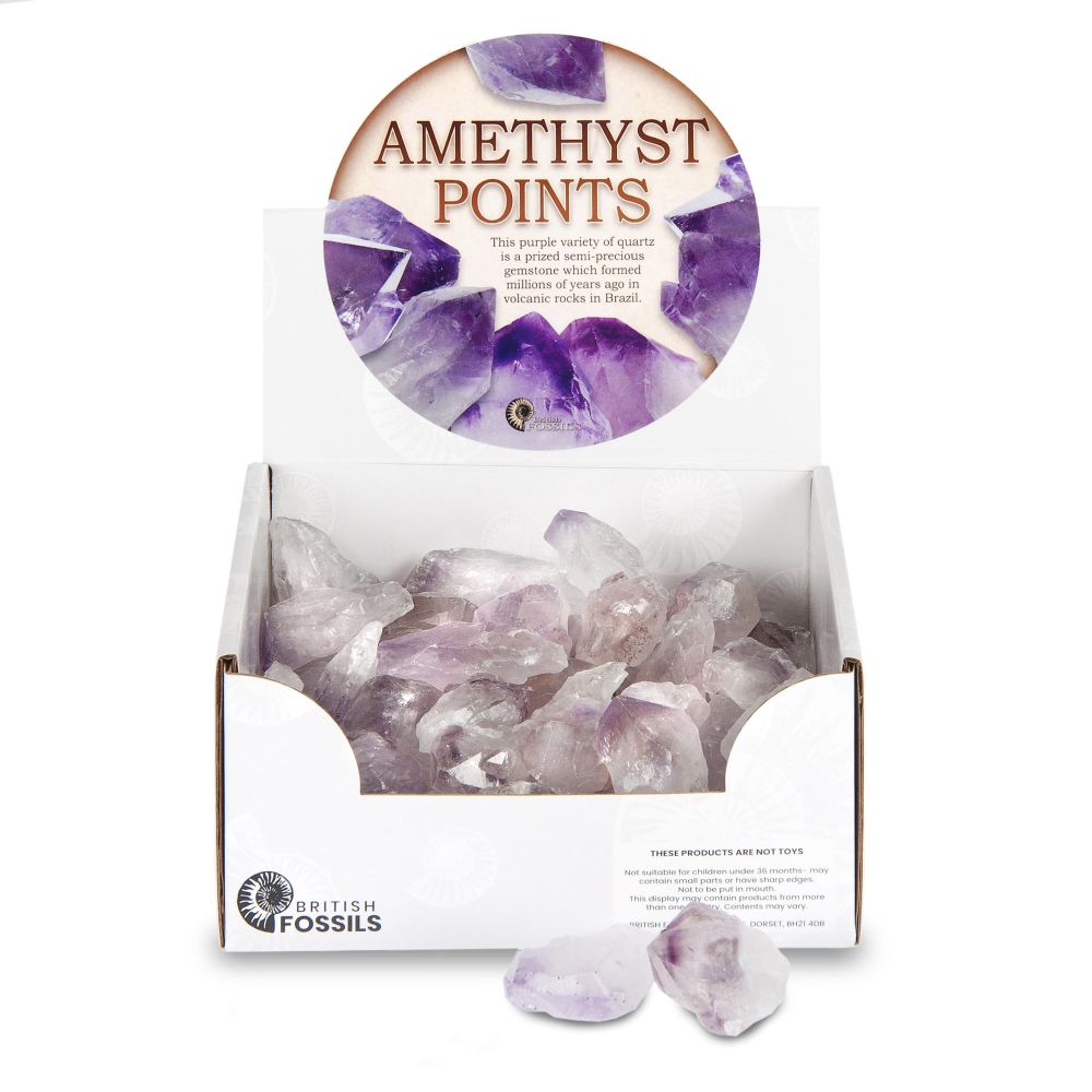 RM02AP Amethyst Points
