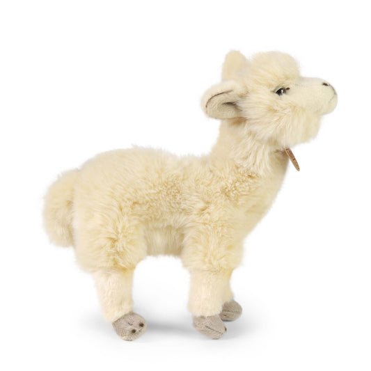 Plush lama Alpaca 23 cm