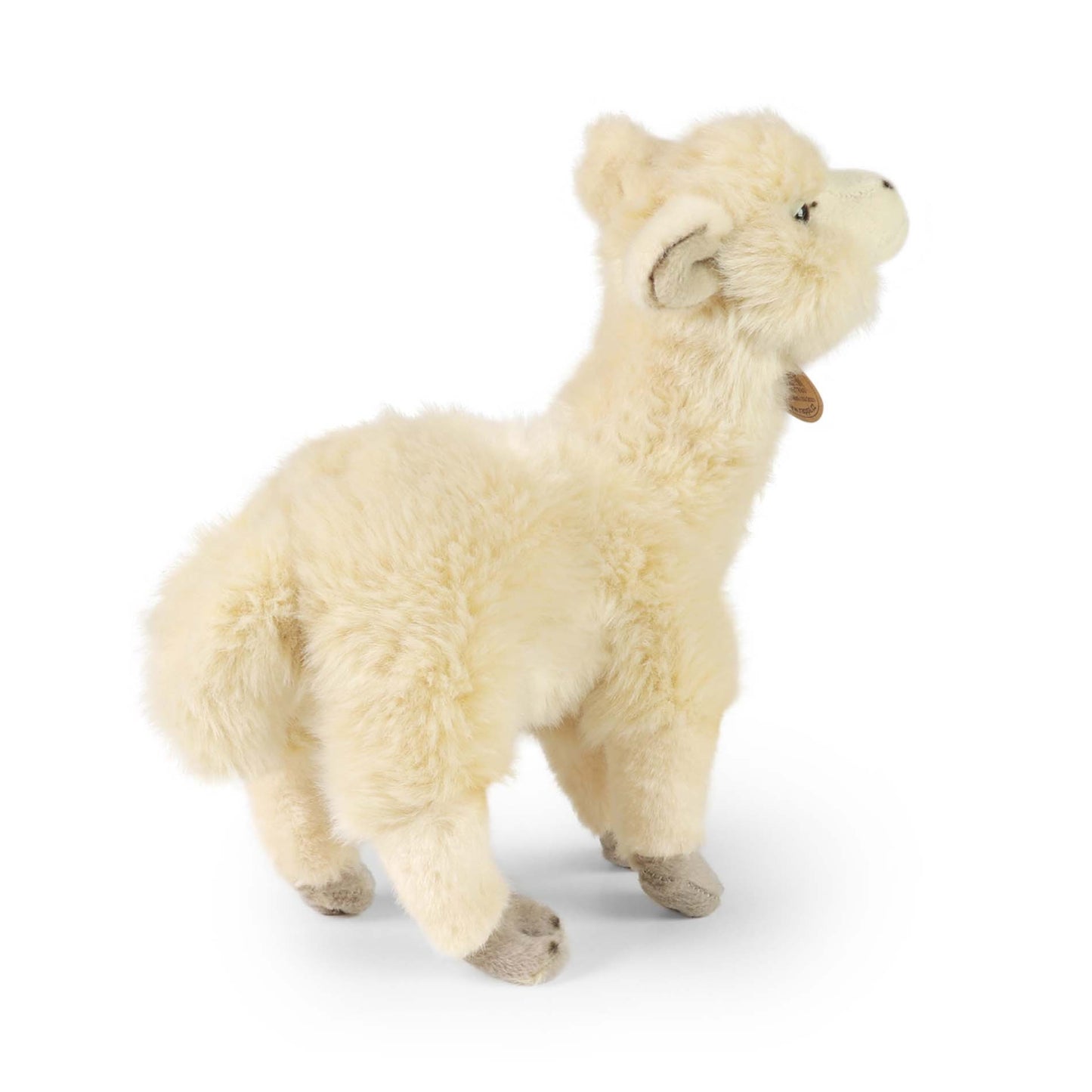 Plush lama Alpaca 23 cm