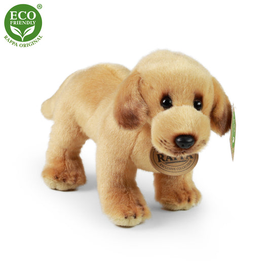 Plush Labrador 20 cm