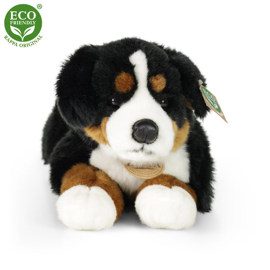 Plush Bernese 44 cm
