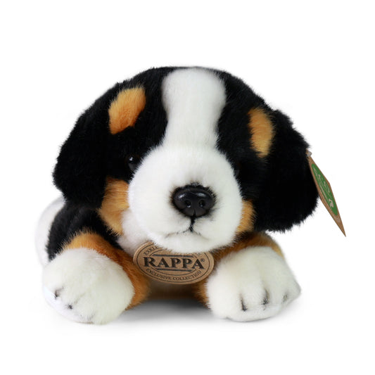 Plush Bernese mountain dog 20 cm