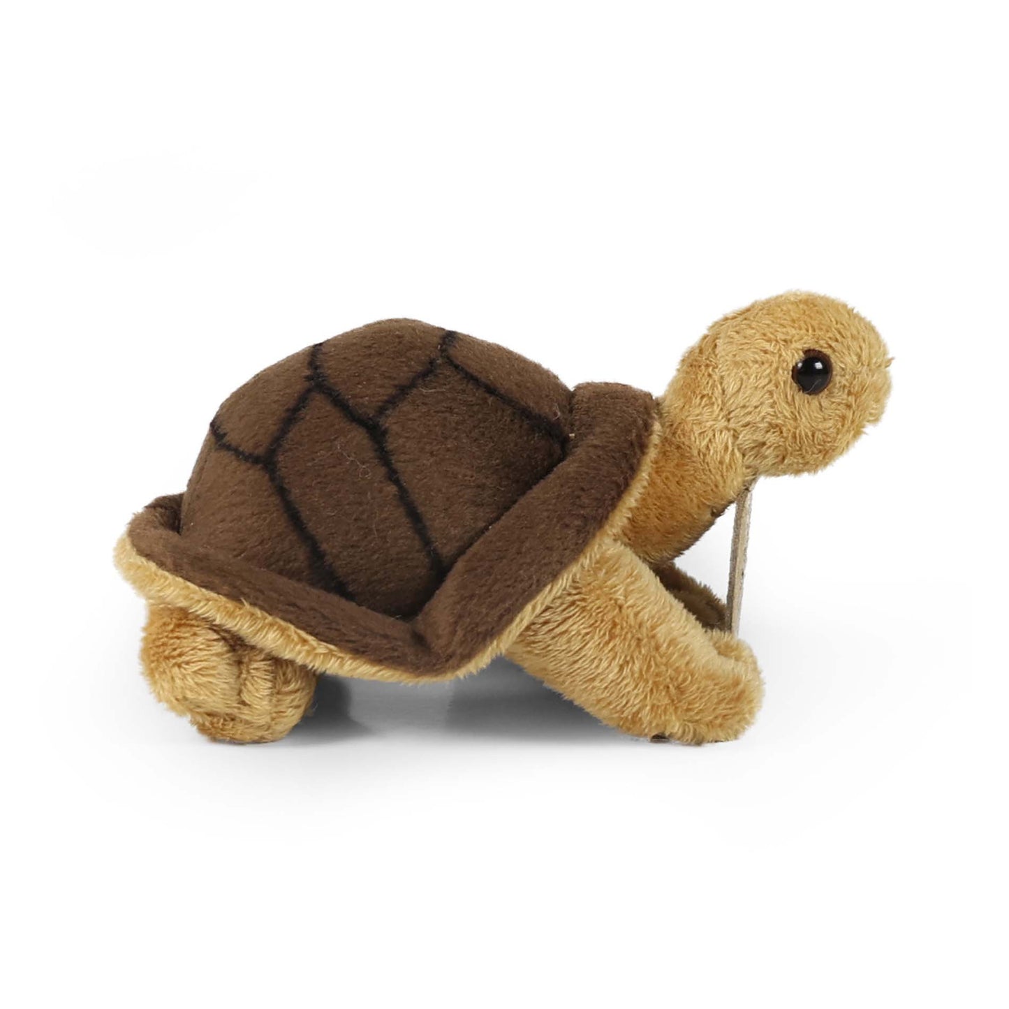 Plush tortoise 13 cm