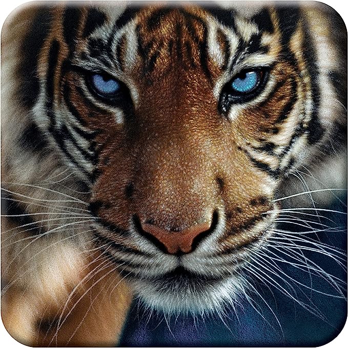 3D LiveLife Coasters - Blue Eyes