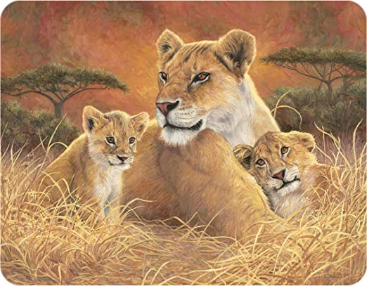 3D LiveLife Magnets - Motherly