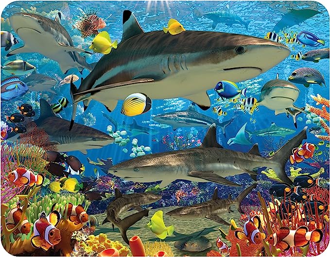 3D LiveLife Magnets - Shark Reef