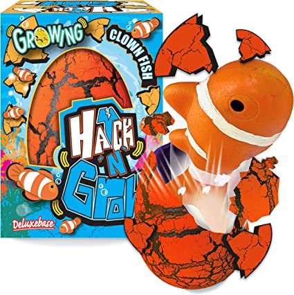 Hatch 'N' Grow - Clown Fish