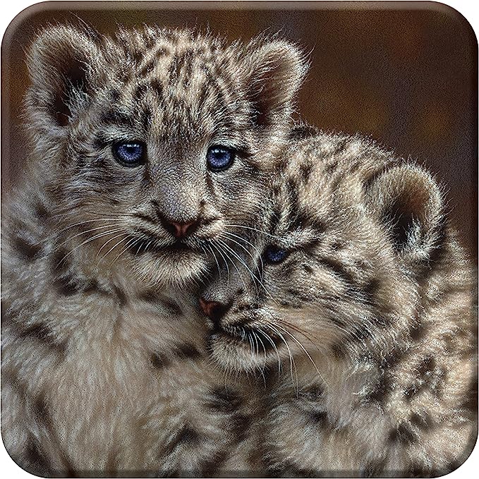 3D LiveLife Coasters - Playmates