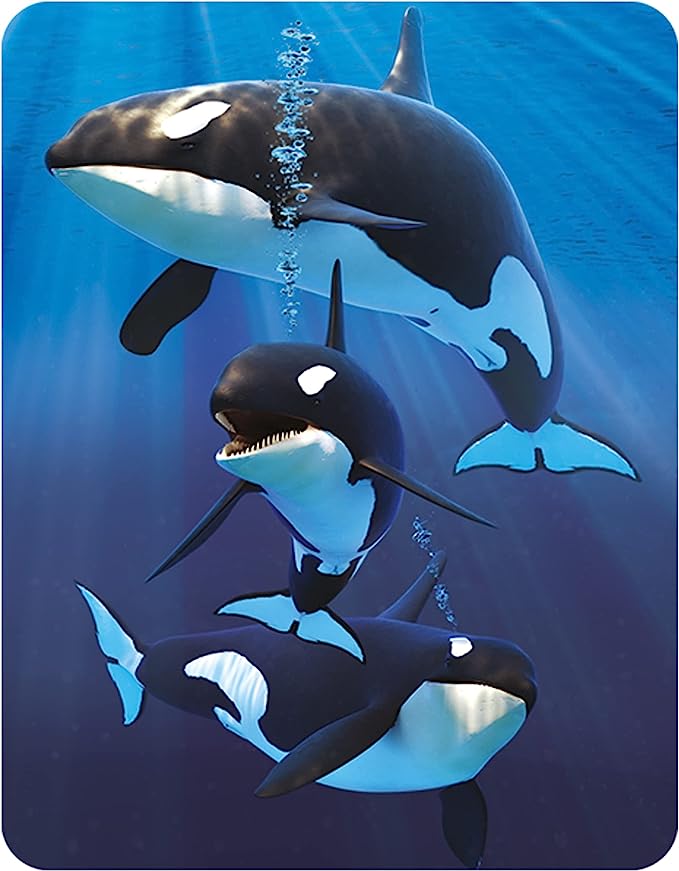 3D LiveLife Magnets - Orcas