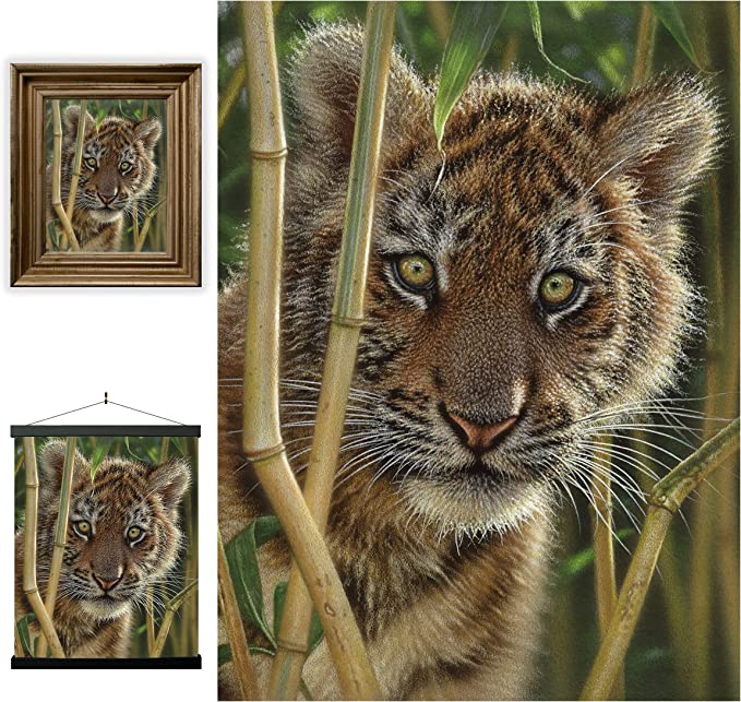 3D LiveLife Pictures - Discovery