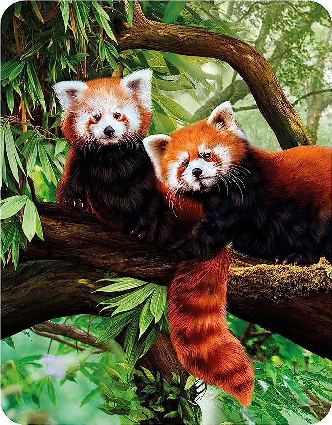 3D LiveLife Magnets - Red Pandas