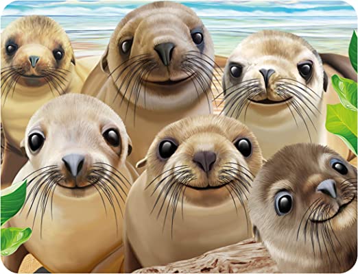 3D LiveLife Magnets - Sea Lion Snap