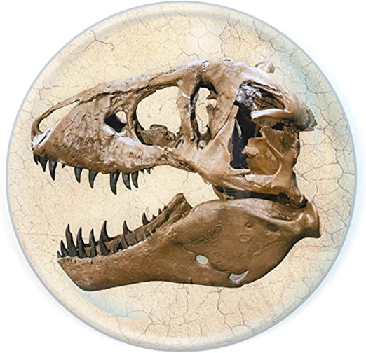 Magnidomes - T-Rex Skull