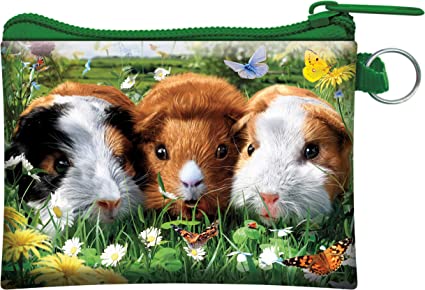 3D LiveLife Coin Purse - Guinea Pigs