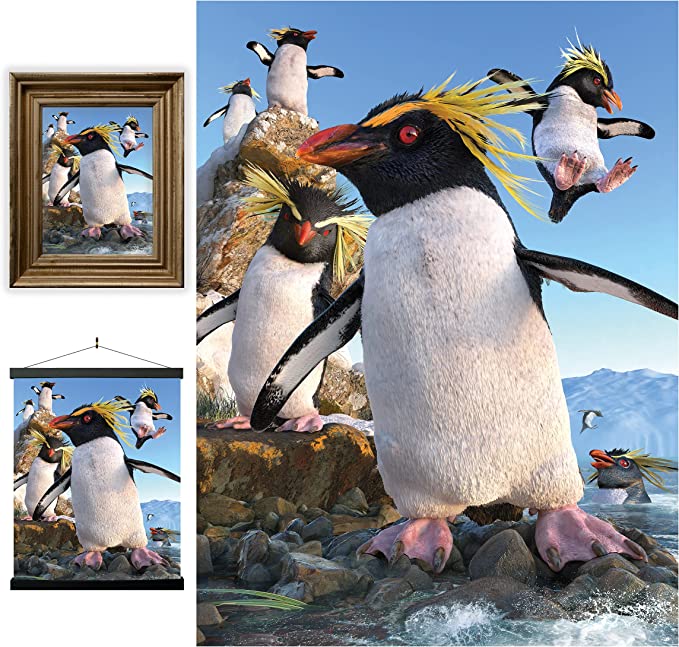 3D LiveLife Pictures - Rockhoppers