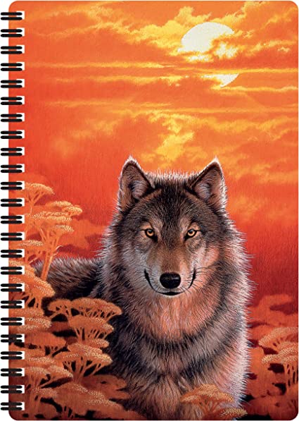 3D LiveLife Notebooks - Gaze