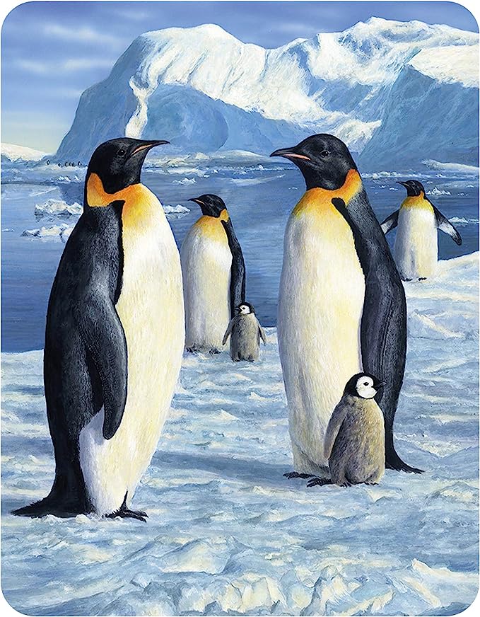 3D LiveLife Magnets - Antarctic Majesty