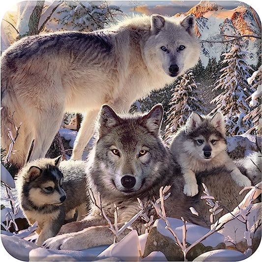 3D LiveLife Coasters - Winter Wolves