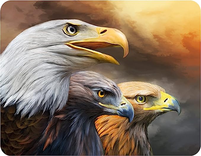 3D LiveLife Magnets - Three Eagles