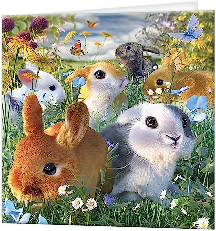 3D LiveLife Greetings Cards - Bunnies