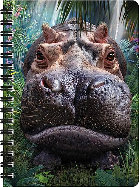 3D LiveLife Jotters - Close Encounter