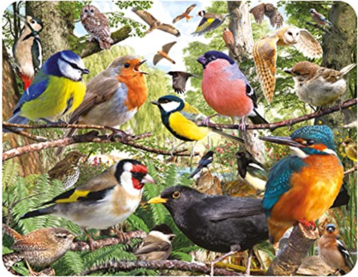 3D LiveLife Magnets - Nature's Home