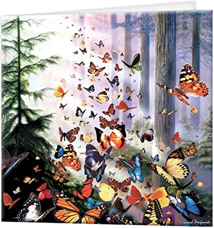 3D LiveLife Greetings Cards - Butterfly Woods