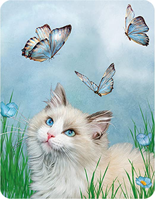 3D LiveLife Magnets - Ragdoll & Butterflies