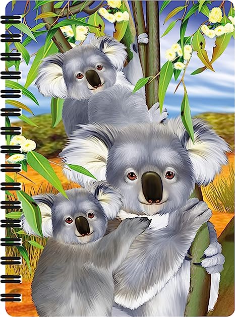 3D LiveLife Jotters - Koala Cuddle