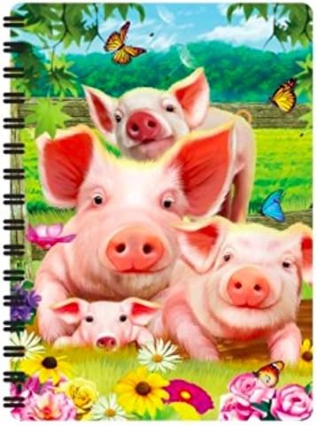 3D LiveLife Jotters - Pig Pen