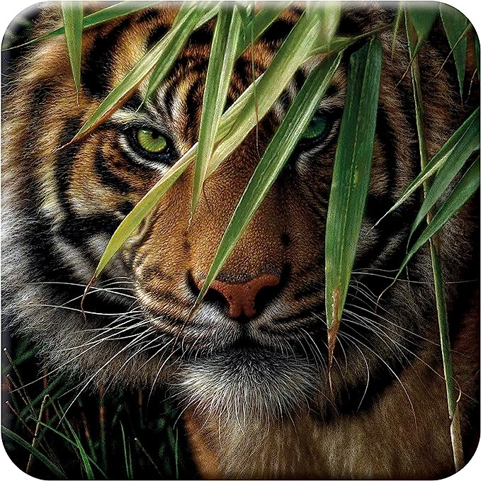 3D LiveLife Coasters - Emerald Forest