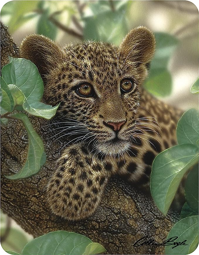 3D LiveLife Magnets - Tree Hugger