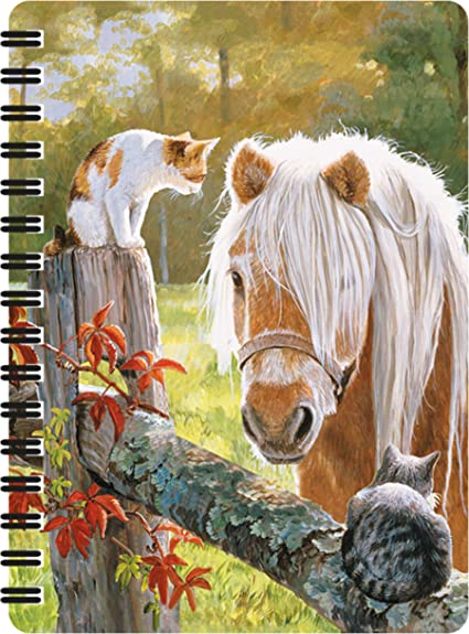 3D LiveLife Jotters - Just Visiting