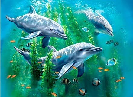 3D LiveLife Pictures - Dolphin Kelp Bed
