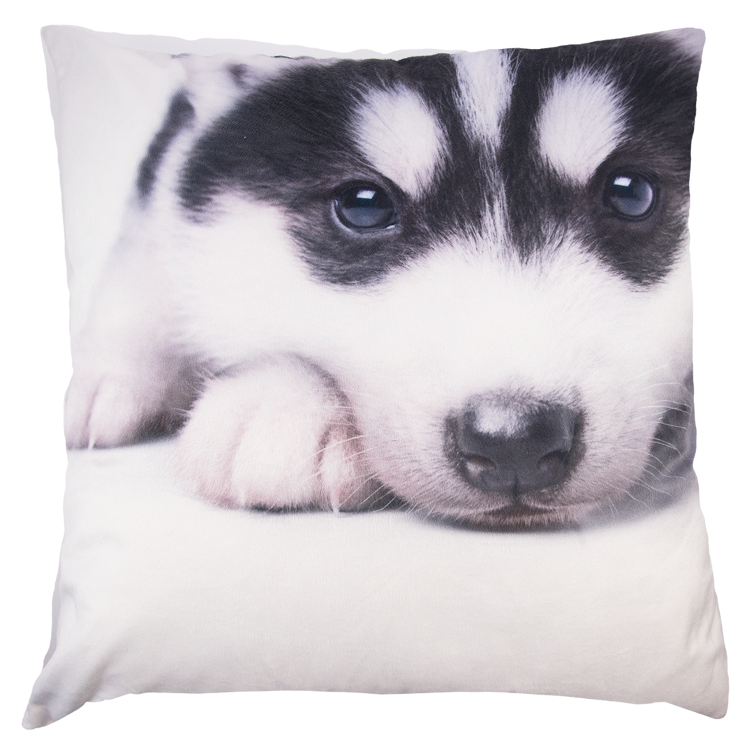 Tyynynpäällinen Husky