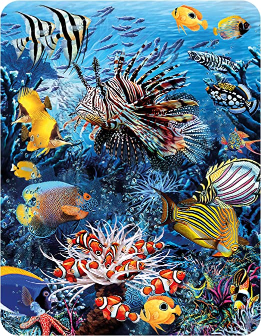 3D LiveLife Magnets - Wonders of the Reef