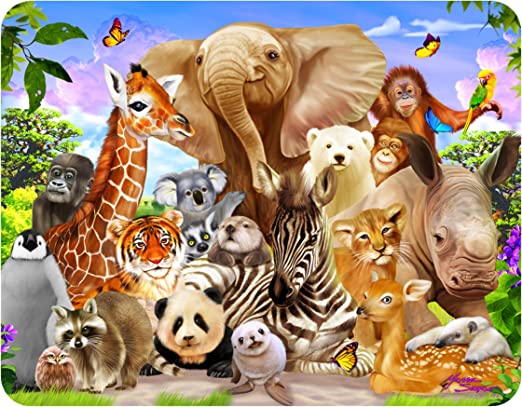 3D LiveLife Magnets - Wild Smile