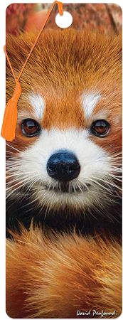 3D LiveLife Bookmarks - Baby Red Panda