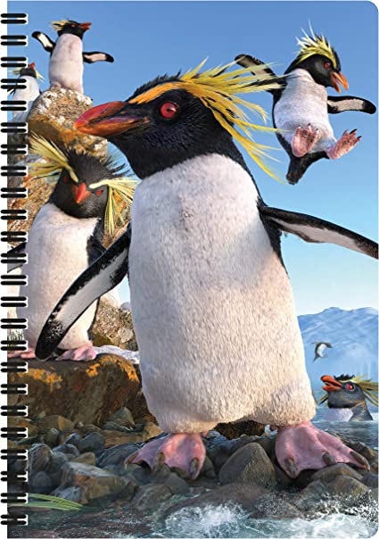 3D LiveLife Notebooks - Rockhoppers