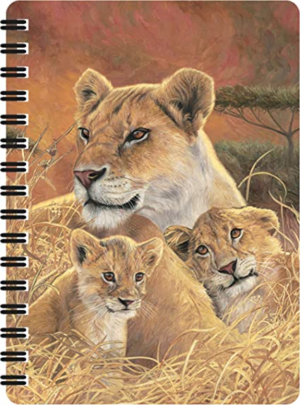 3D LiveLife Jotters - Motherly