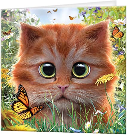 3D LiveLife Greetings Cards - Ginger Kitten